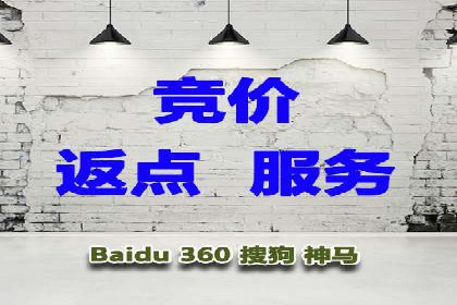 行业领先企业的SEM运营策略案例解析