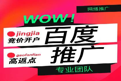 SEM托管服务案例：助力企业快速崛起